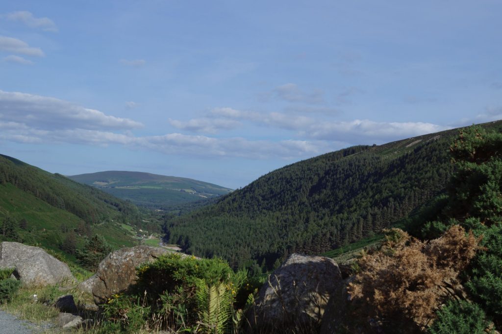 Wicklow Gap | schabakery.com