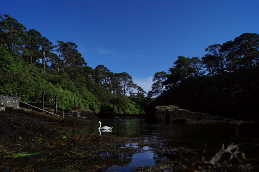 Glengarriff Bay | schabakery.com