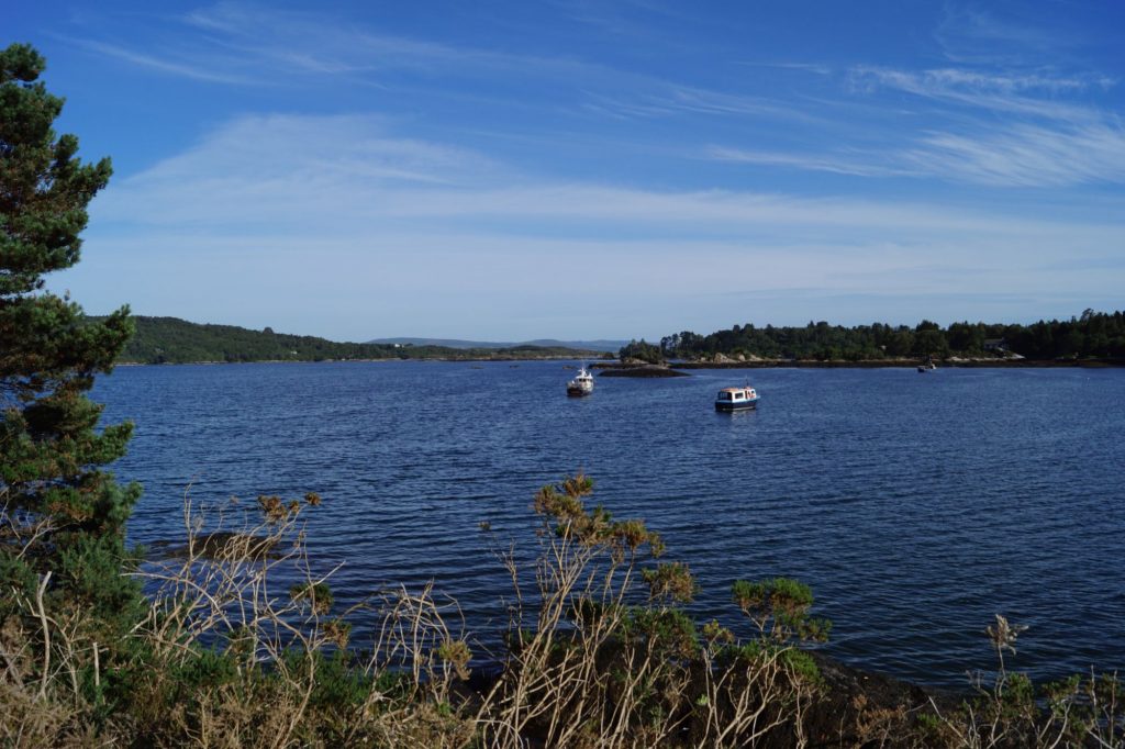 Glengarriff Bay | schabakery.com