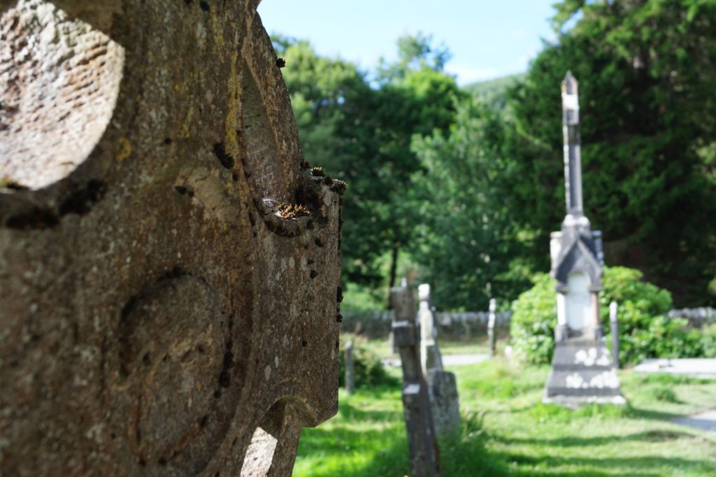 Glendalough | schabakery.com