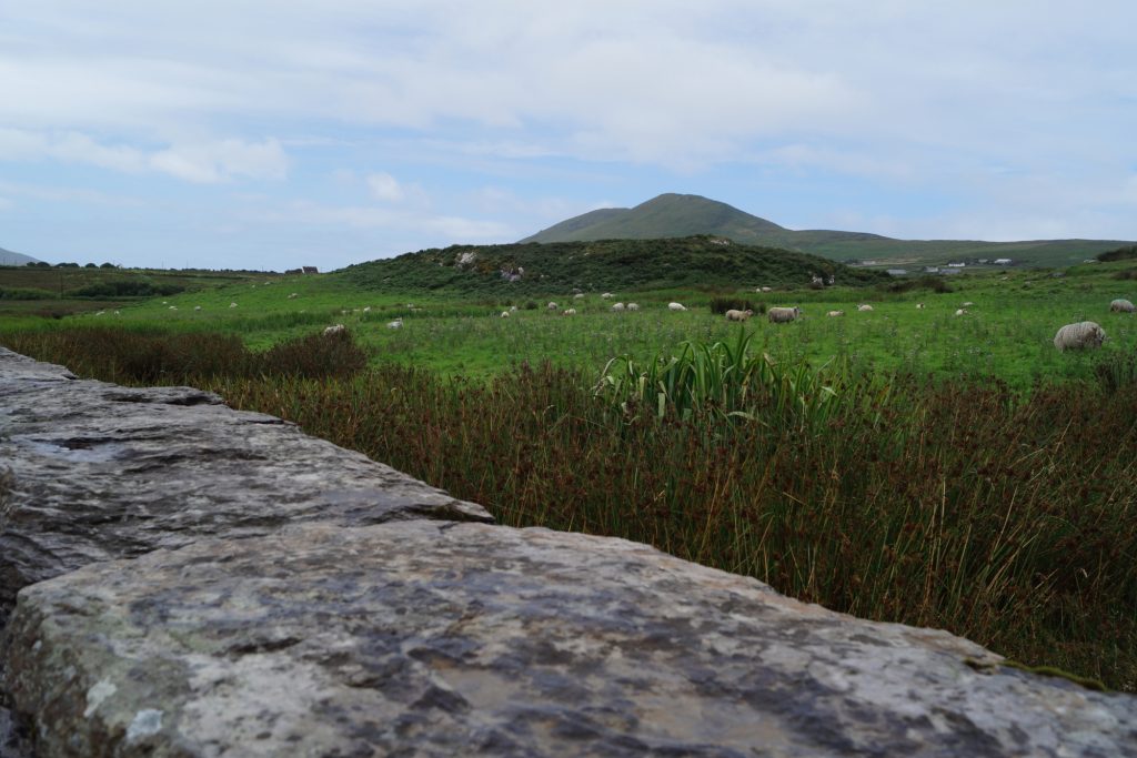 Leacanabuaile Stone Fort | schabakery.com