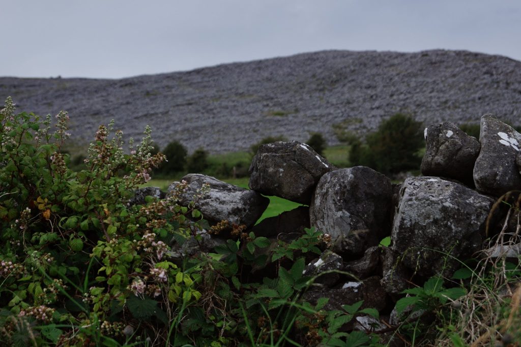 Roadtrip along the Wild Atlantic Way Ireland | schabakery.com